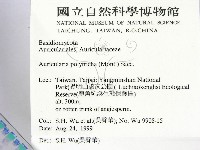 毛木耳藏品圖，第2張