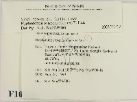 登錄號:F0010290藏品圖，第2張