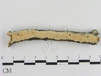 登錄號:F0010290藏品圖，第1張