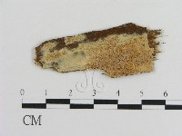 登錄號:F0010291藏品圖，第1張