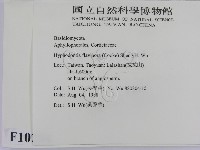 登錄號:F0010294藏品圖，第2張