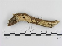 登錄號:F0010296藏品圖，第1張