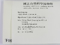 登錄號:F0010298藏品圖，第2張