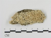 登錄號:F0010298藏品圖，第1張