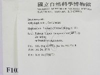 登錄號:F0010300藏品圖，第2張