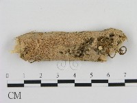 登錄號:F0010300藏品圖，第1張