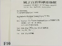 登錄號:F0010301藏品圖，第2張