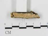 登錄號:F0010301藏品圖，第3張