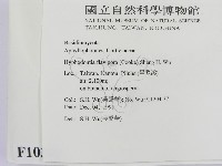 登錄號:F0010302藏品圖，第2張