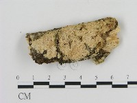 登錄號:F0010302藏品圖，第1張