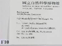 登錄號:F0010303藏品圖，第2張