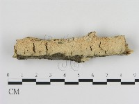 登錄號:F0010303藏品圖，第1張