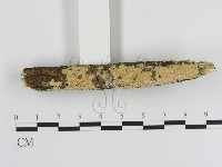 登錄號:F0010304藏品圖，第3張