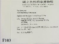 登錄號:F0010305藏品圖，第2張