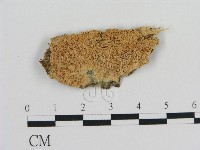 登錄號:F0010305藏品圖，第1張