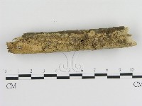 登錄號:F0010306藏品圖，第3張