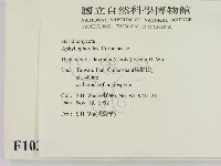 登錄號:F0010307藏品圖，第2張