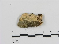 登錄號:F0010307藏品圖，第1張