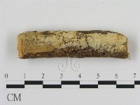 登錄號:F0010309藏品圖，第1張