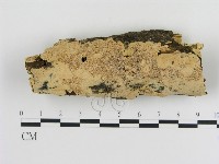 登錄號:F0010310藏品圖，第1張