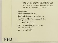 登錄號:F0010311藏品圖，第2張