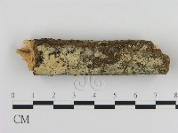 登錄號:F0010312藏品圖，第1張