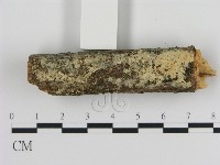 登錄號:F0010312藏品圖，第3張