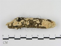 登錄號:F0010315藏品圖，第1張