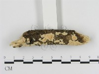 登錄號:F0010315藏品圖，第3張