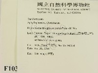 登錄號:F0010317藏品圖，第2張