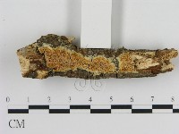 登錄號:F0010317藏品圖，第1張