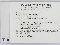 登錄號:F0010318藏品圖，第2張