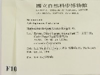 登錄號:F0010319藏品圖，第2張