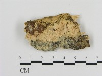 登錄號:F0010319藏品圖，第1張