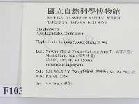 登錄號:F0010320藏品圖，第2張