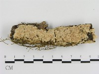 登錄號:F0010320藏品圖，第1張