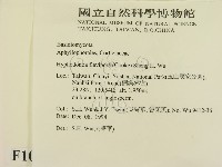 登錄號:F0010321藏品圖，第2張