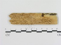 登錄號:F0010322藏品圖，第1張