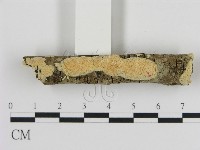 登錄號:F0010323藏品圖，第1張