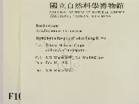 登錄號:F0010324藏品圖，第2張