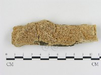 登錄號:F0010324藏品圖，第1張