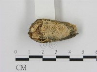 登錄號:F0010325藏品圖，第1張