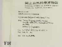 登錄號:F0010326藏品圖，第2張