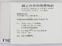 登錄號:F0010328藏品圖，第2張