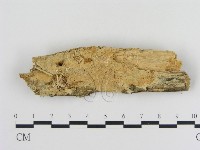 登錄號:F0010329藏品圖，第1張