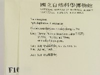 登錄號:F0010330藏品圖，第2張