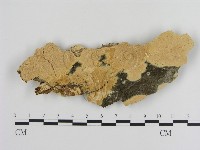 登錄號:F0010330藏品圖，第1張