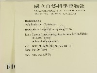 登錄號:F0010331藏品圖，第2張