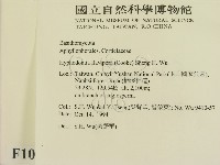 登錄號:F0010333藏品圖，第2張