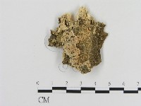 登錄號:F0010333藏品圖，第1張